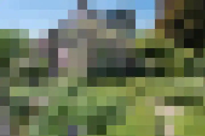 't Hou 4 Langezwaag thumbnail 6