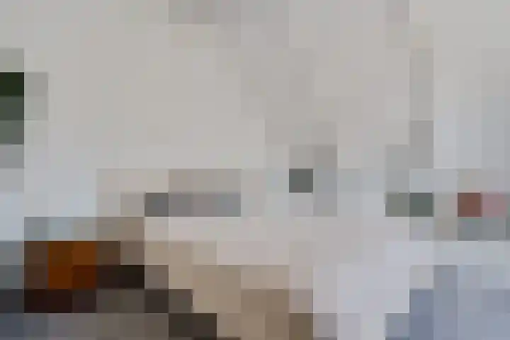 't Hou 4 Langezwaag thumbnail 60