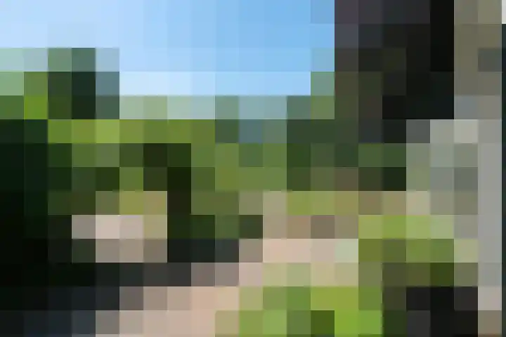 't Hou 4 Langezwaag thumbnail 67