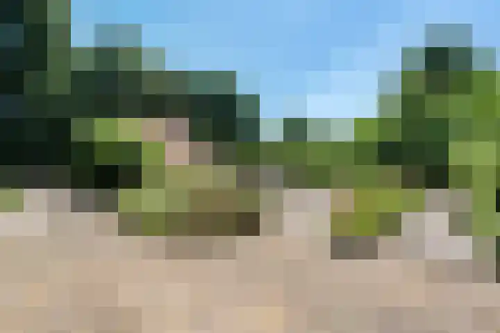 't Hou 4 Langezwaag thumbnail 68