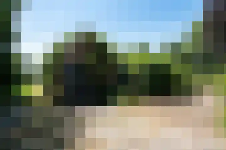 't Hou 4 Langezwaag thumbnail 69