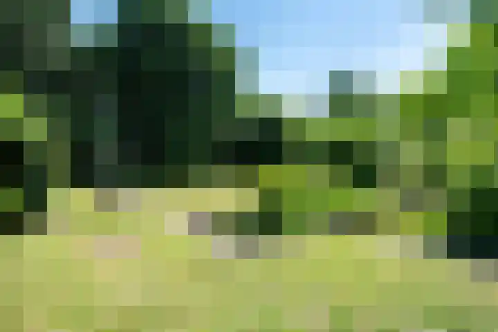 't Hou 4 Langezwaag thumbnail 70