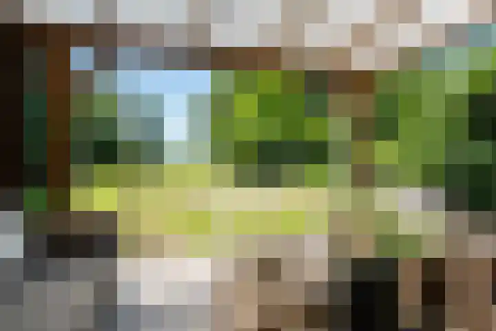 't Hou 4 Langezwaag thumbnail 71