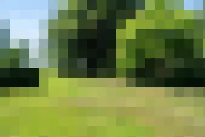 't Hou 4 Langezwaag thumbnail 73