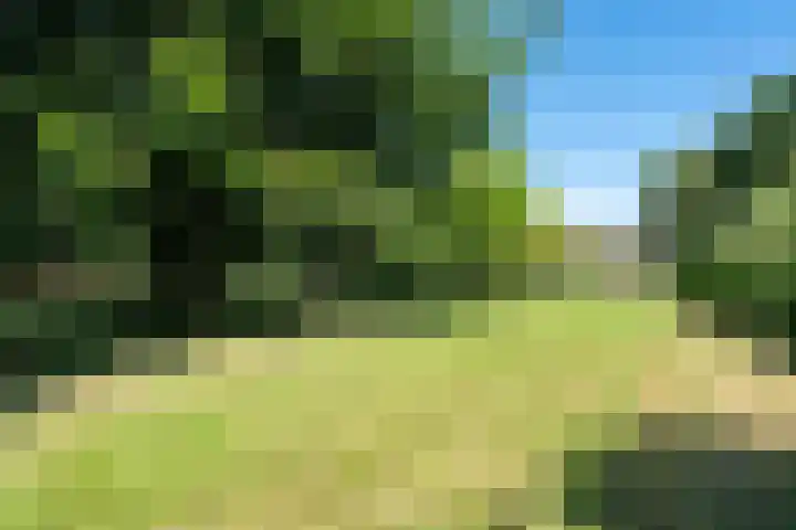 't Hou 4 Langezwaag thumbnail 74