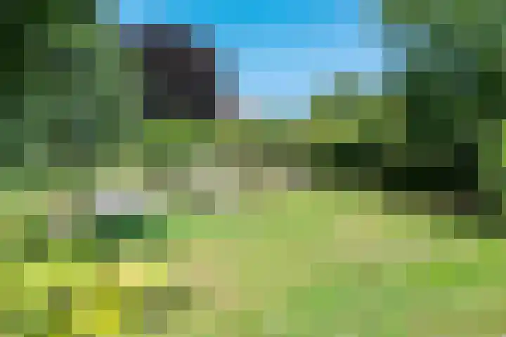 't Hou 4 Langezwaag thumbnail 75