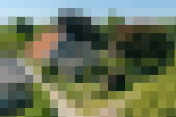 't Hou 4 Langezwaag thumbnail 79