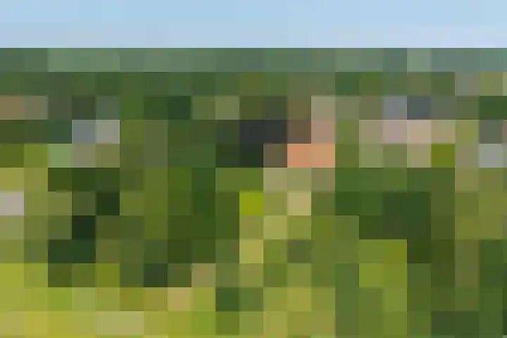 't Hou 4 Langezwaag thumbnail 80