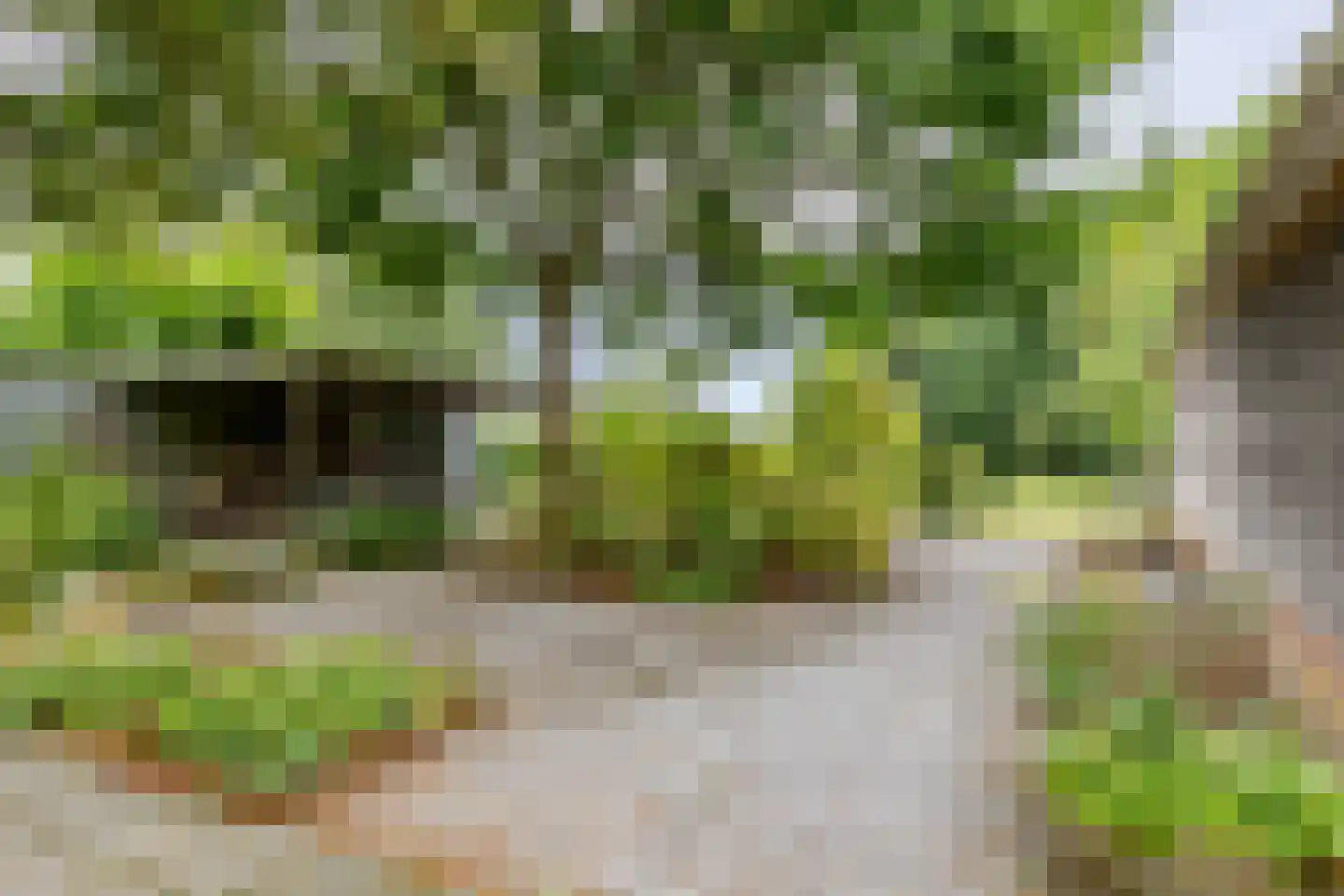 't Hou 8 Langezwaag thumbnail 10