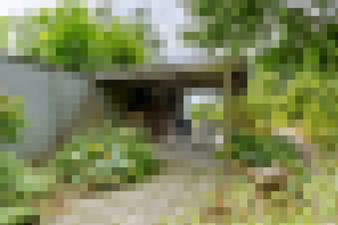 't Hou 8 Langezwaag thumbnail 11