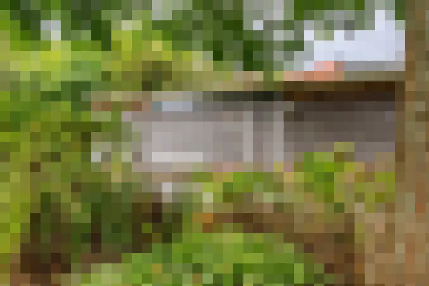 't Hou 8 Langezwaag thumbnail 12