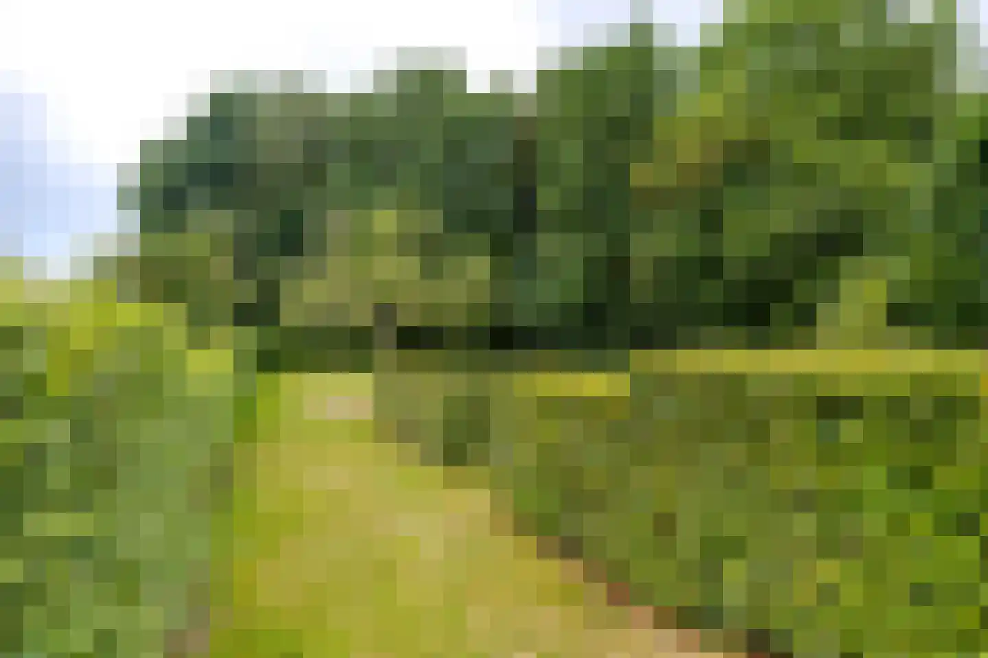 't Hou 8 Langezwaag thumbnail 13