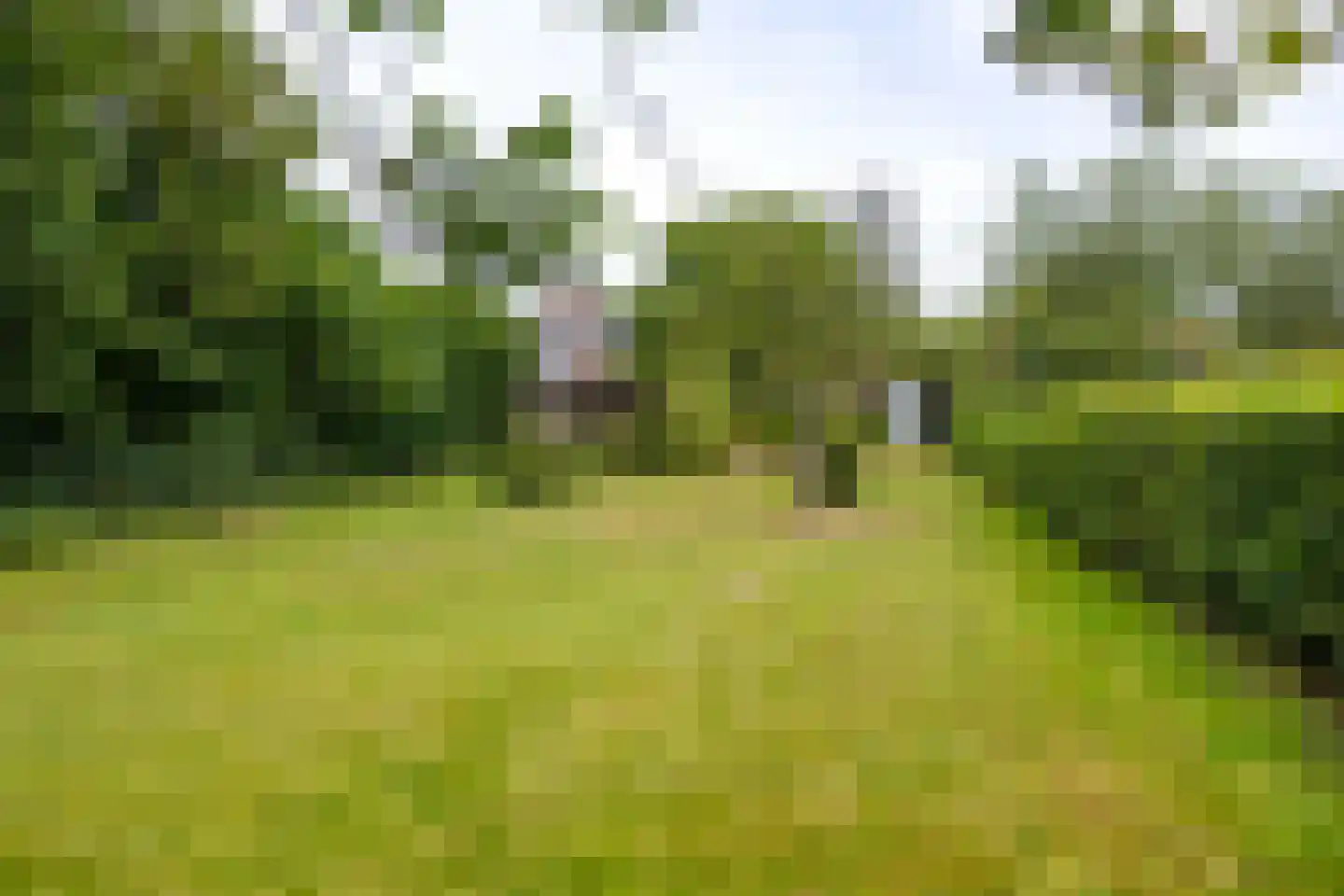 't Hou 8 Langezwaag thumbnail 14