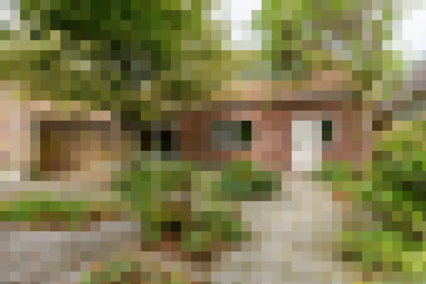 't Hou 8 Langezwaag thumbnail 15