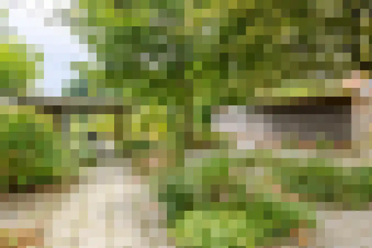't Hou 8 Langezwaag thumbnail 16