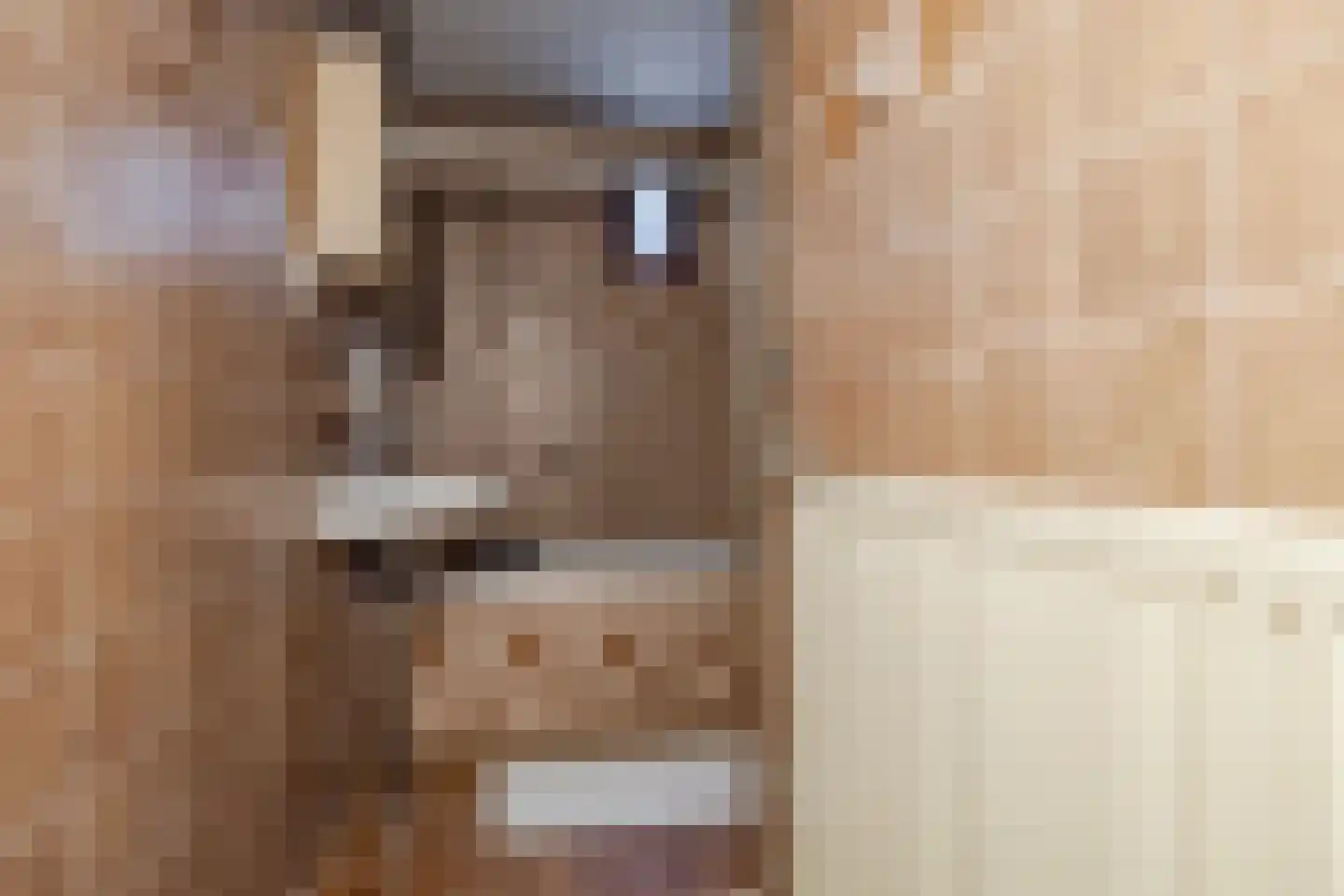 't Hou 8 Langezwaag thumbnail 19