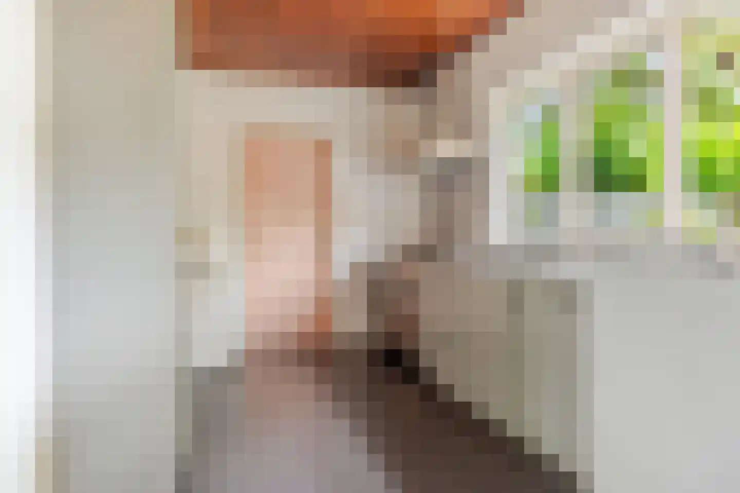 't Hou 8 Langezwaag thumbnail 31