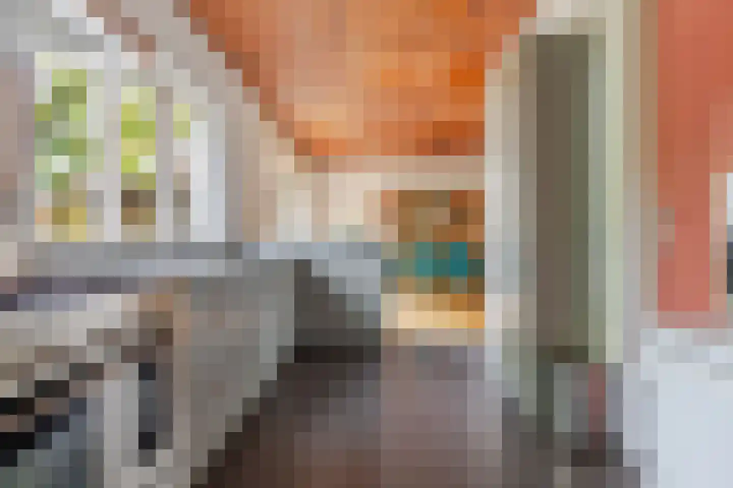 't Hou 8 Langezwaag thumbnail 32