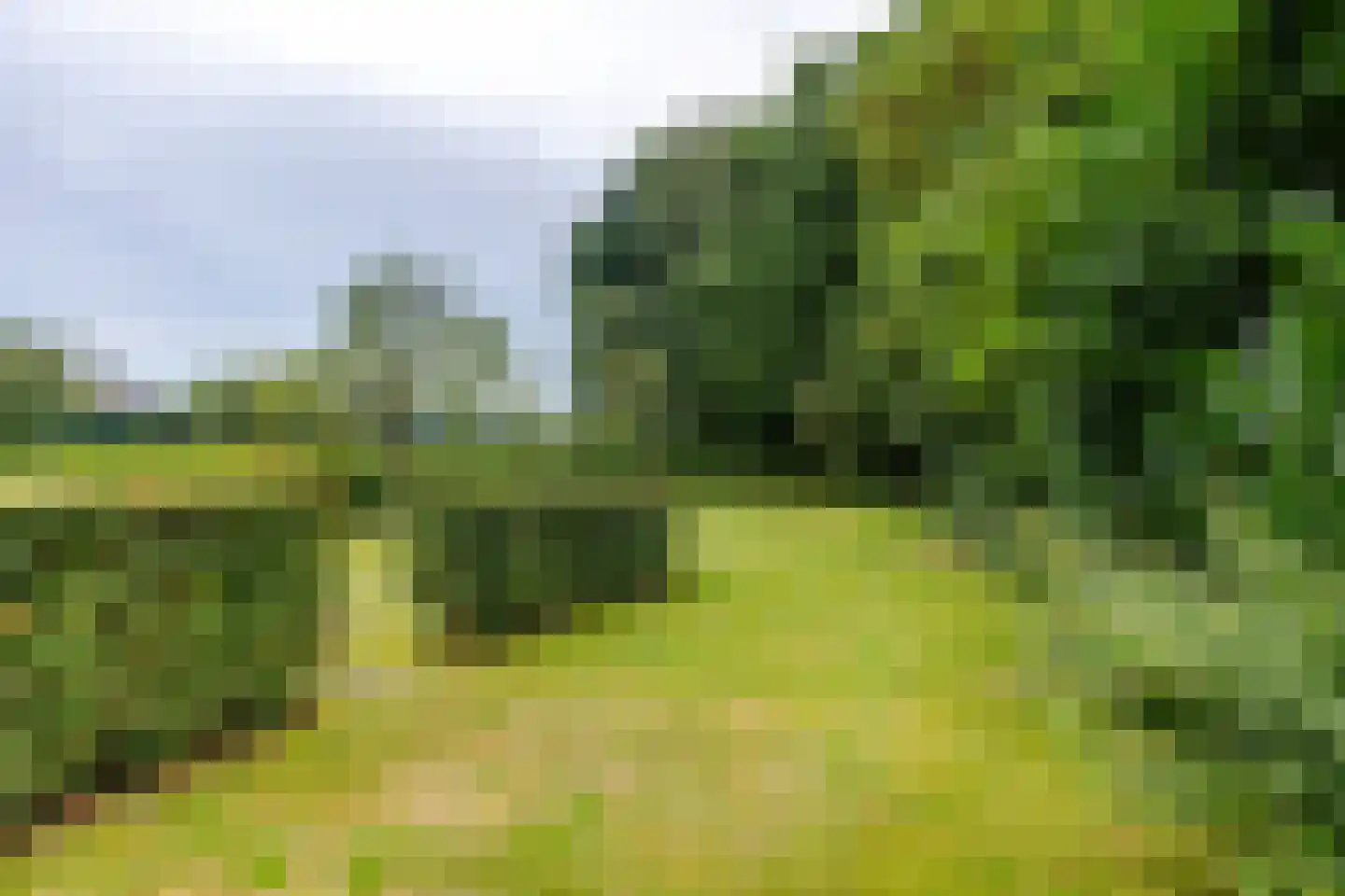 't Hou 8 Langezwaag thumbnail 4