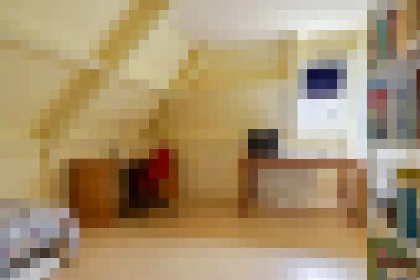 't Hou 8 Langezwaag thumbnail 40