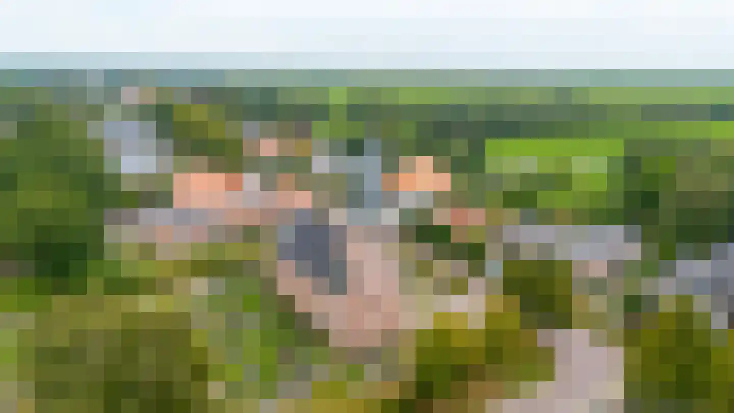 't Hou 8 Langezwaag thumbnail 6