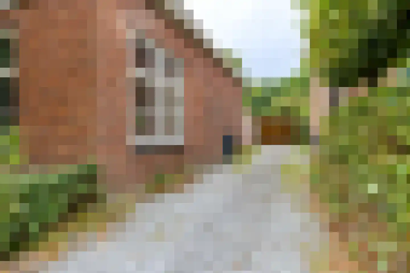 't Hou 8 Langezwaag thumbnail 8