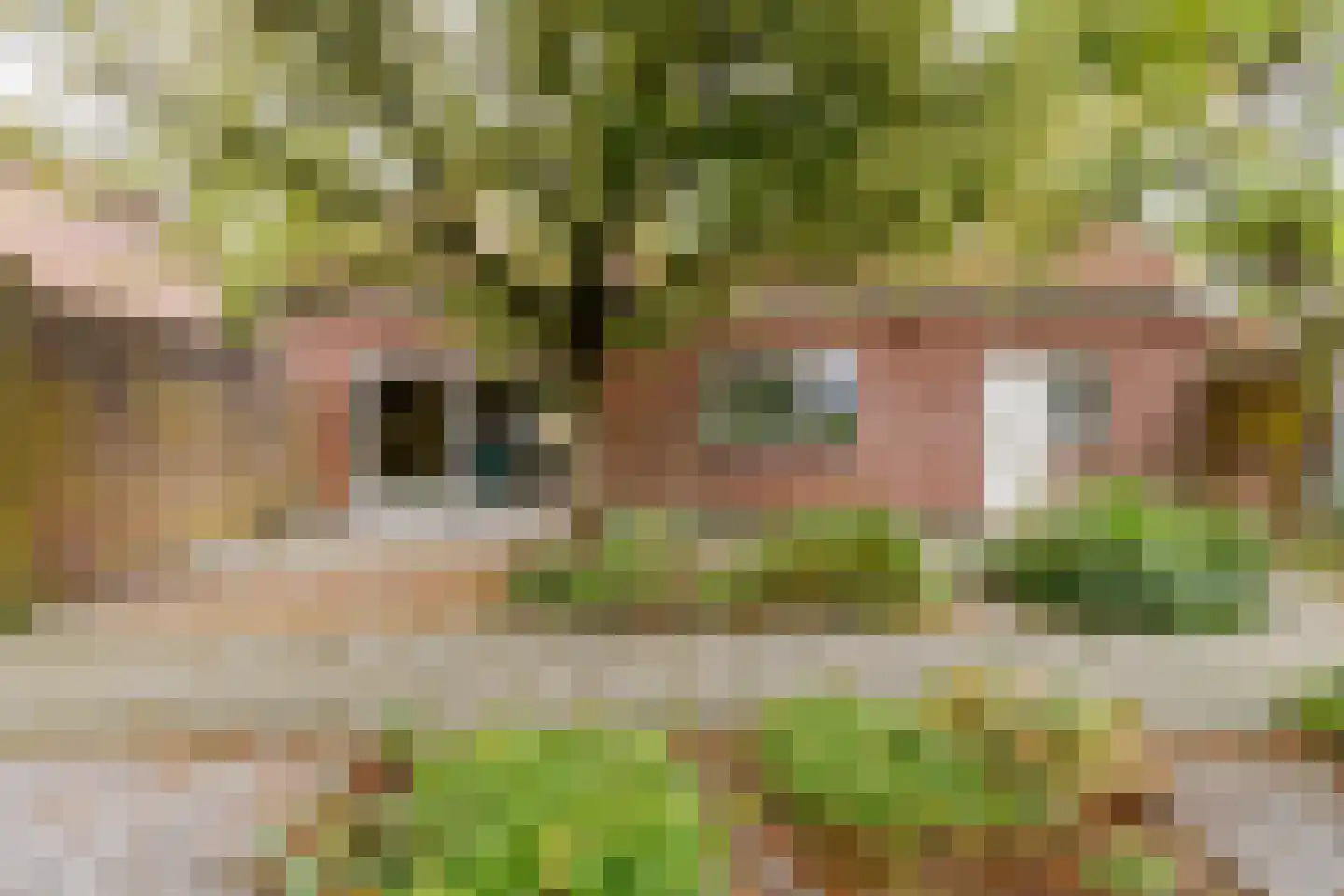 't Hou 8 Langezwaag thumbnail 9