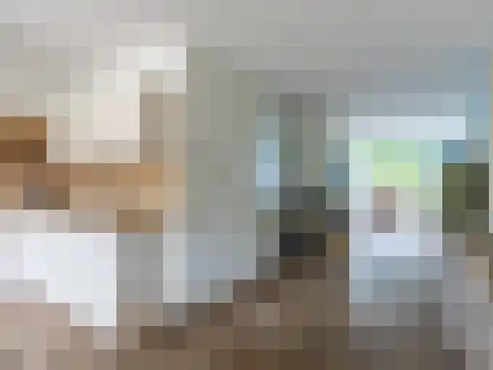 't Hummel 8 Zutphen thumbnail 13