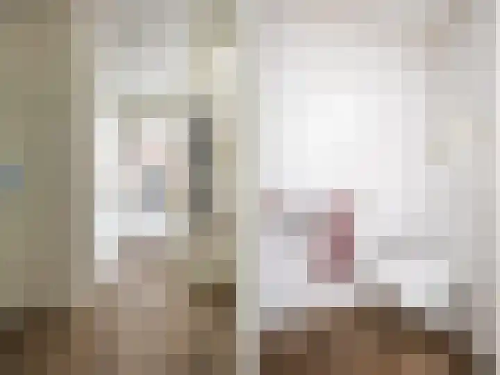't Hummel 8 Zutphen thumbnail 15
