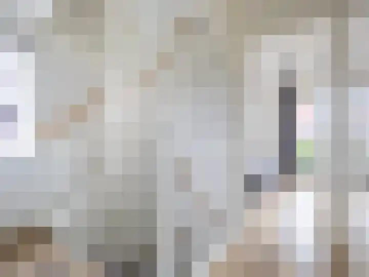 't Hummel 8 Zutphen thumbnail 17