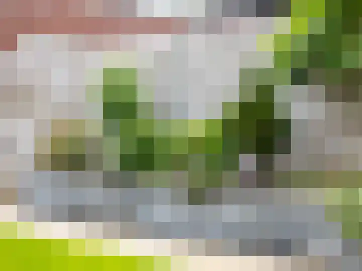 't Hummel 8 Zutphen thumbnail 29