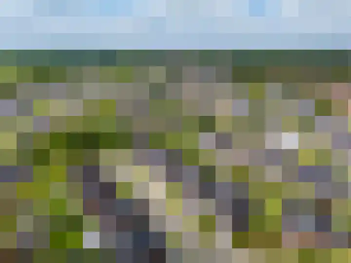 't Hummel 8 Zutphen thumbnail 37