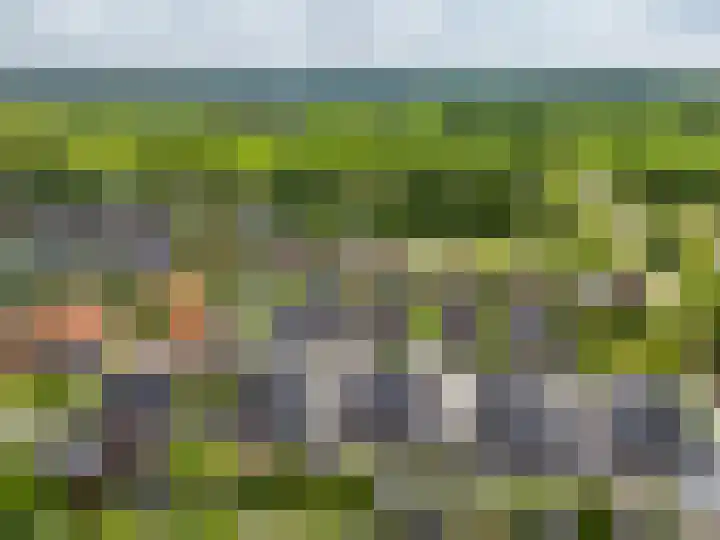 't Hummel 8 Zutphen thumbnail 38