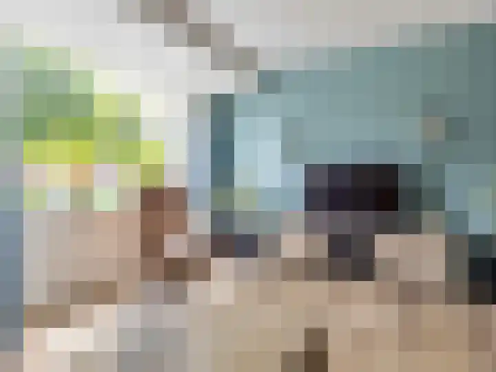 't Hummel 8 Zutphen thumbnail 5