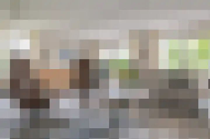 't Ikenhiem 12 Gorredijk thumbnail 13