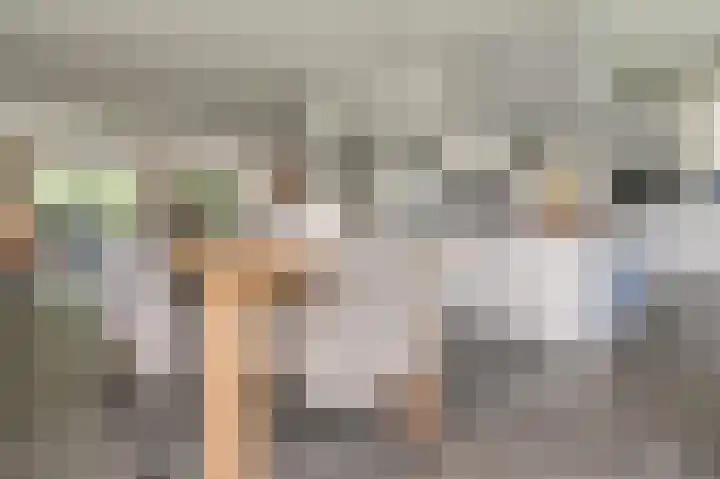 't Ikenhiem 12 Gorredijk thumbnail 17