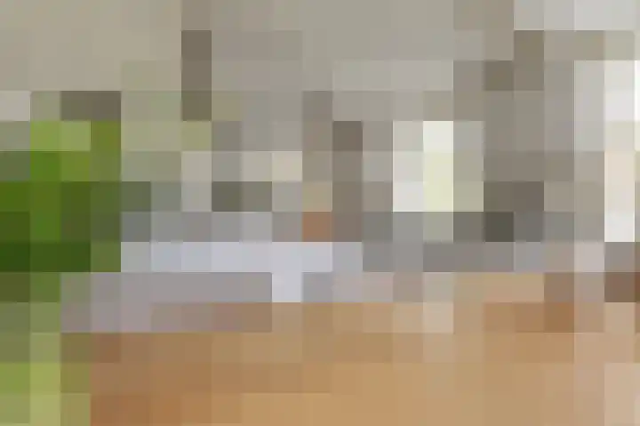 't Ikenhiem 12 Gorredijk thumbnail 18
