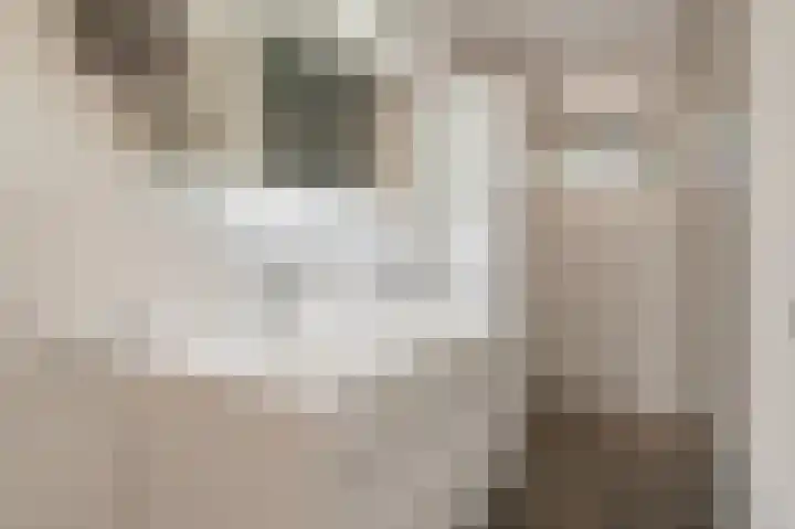't Ikenhiem 12 Gorredijk thumbnail 30