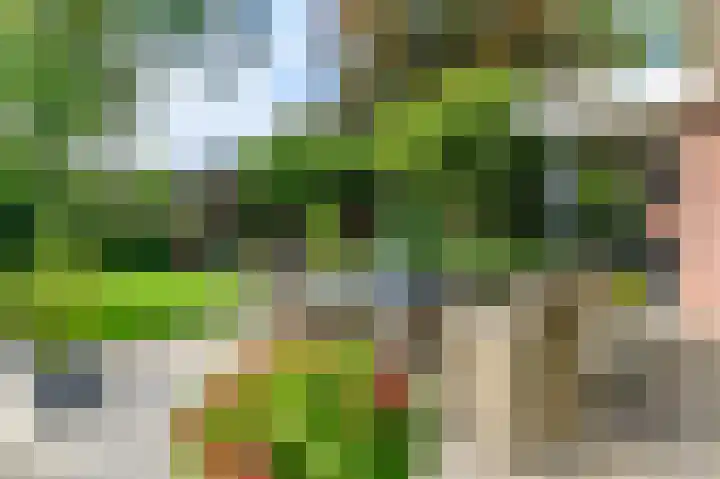 't Ikenhiem 12 Gorredijk thumbnail 37