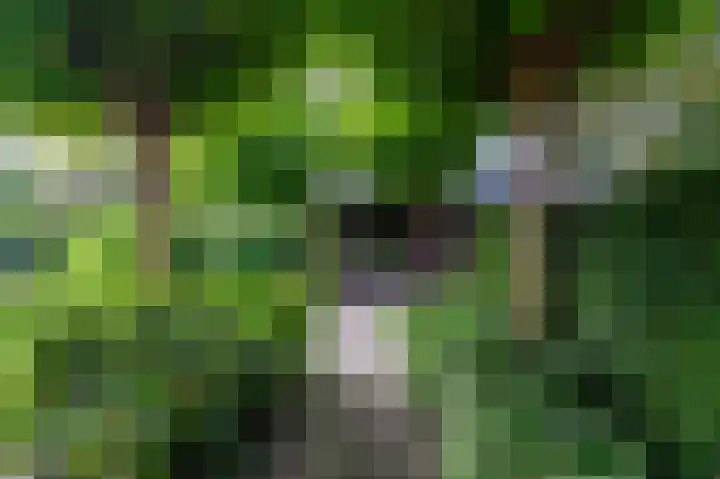 't Ikenhiem 12 Gorredijk thumbnail 47