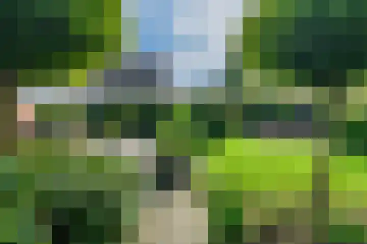 't Ikenhiem 12 Gorredijk thumbnail 49
