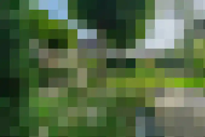 't Ikenhiem 12 Gorredijk thumbnail 50