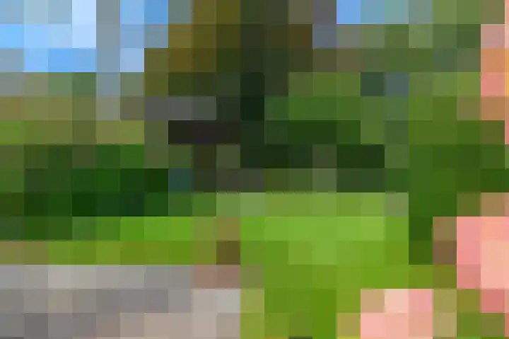 't Ikenhiem 12 Gorredijk thumbnail 53