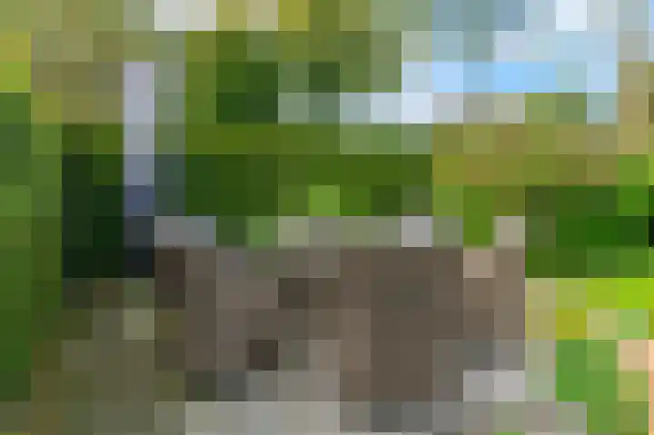 't Ikenhiem 12 Gorredijk thumbnail 54