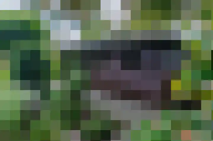 't Ikenhiem 12 Gorredijk thumbnail 55