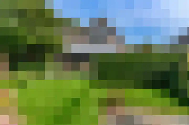 't Ikenhiem 12 Gorredijk thumbnail 57