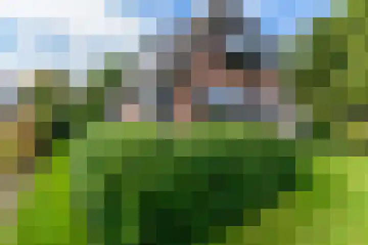 't Ikenhiem 12 Gorredijk thumbnail 58