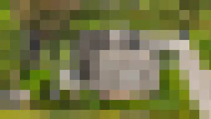 't Ikenhiem 12 Gorredijk thumbnail 60