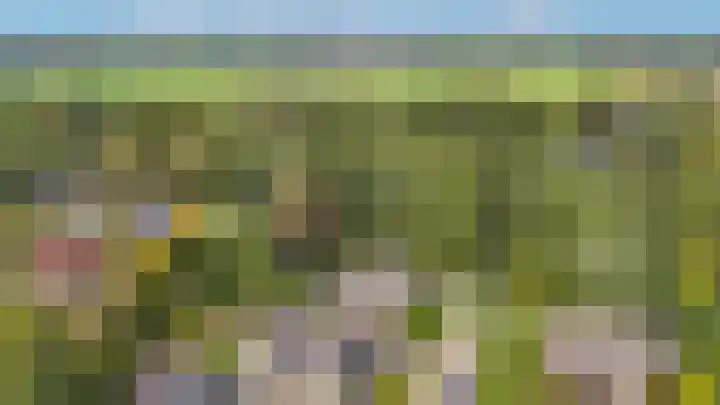 't Ikenhiem 12 Gorredijk thumbnail 61