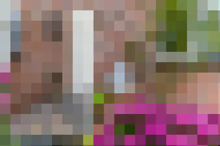 't Ikenhiem 12 Gorredijk thumbnail 9